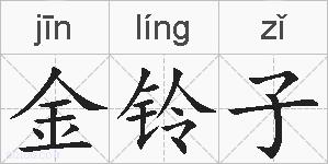 金铃子的拼音