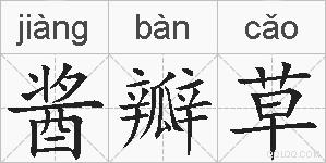 酱瓣草的拼音