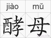 酵母的拼音