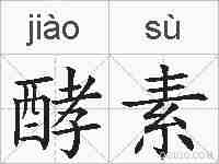 酵素的拼音