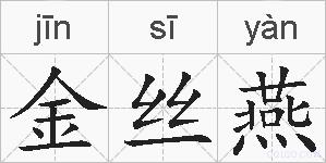 金丝燕的拼音