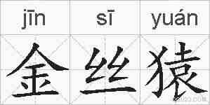 金丝猿的拼音