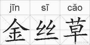 金丝草的拼音