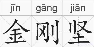 金刚坚的拼音