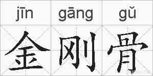金刚骨的拼音