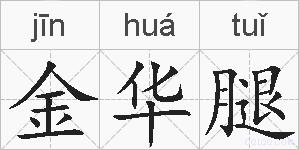 金华腿的拼音