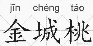 金城桃的拼音