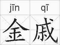 金戚的拼音