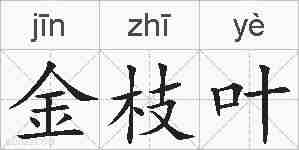 金枝叶的拼音