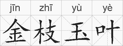 金枝玉叶的拼音