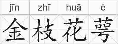 金枝花萼的拼音