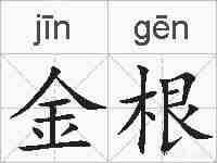 金根的拼音