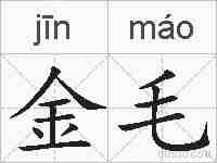 金毛的拼音