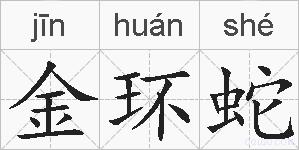 金环蛇的拼音