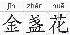 金盏花的拼音