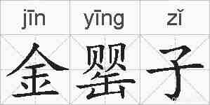 金罂子的拼音