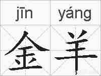 金羊的拼音