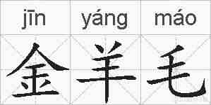金羊毛的拼音
