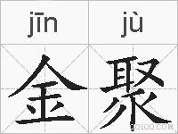 金聚的拼音