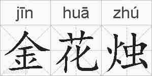 金花烛的拼音
