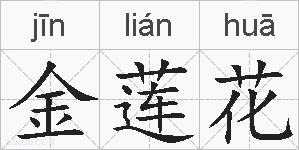 金莲花的拼音