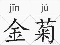 金菊的拼音