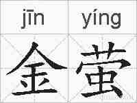 金萤的拼音