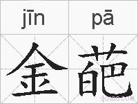 金葩的拼音