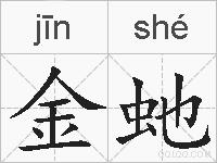 金虵的拼音