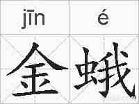 金蛾的拼音