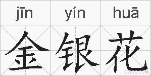 金银花的拼音
