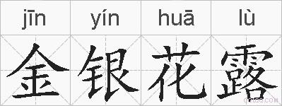 金银花露的拼音