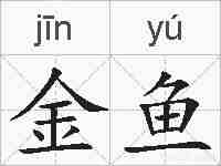 金鱼的拼音
