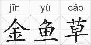 金鱼草的拼音