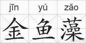 金鱼藻的拼音