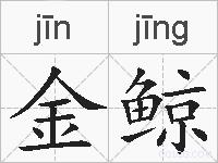 金鲸的拼音