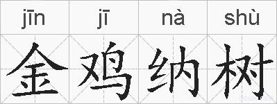 金鸡纳树的拼音