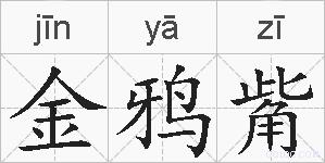 金鸦觜的拼音