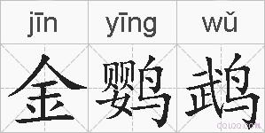 金鹦鹉的拼音