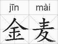 金麦的拼音
