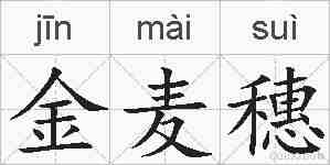 金麦穗的拼音