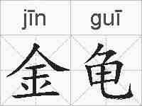 金龟的拼音