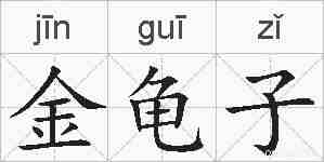 金龟子的拼音