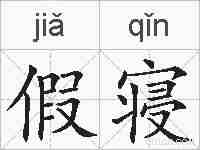 假寝的拼音