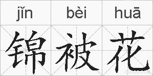 锦被花的拼音