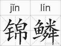 锦鳞的拼音
