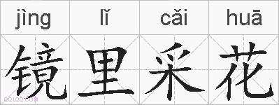 镜里采花的拼音