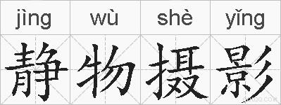 静物摄影的拼音