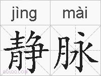 静脉的拼音