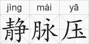 静脉压的拼音